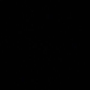 Meet your Posher, Charles